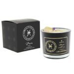 Sternzeichenkerze Fische klein